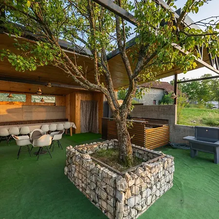 Natalijina Ramonda Villa *